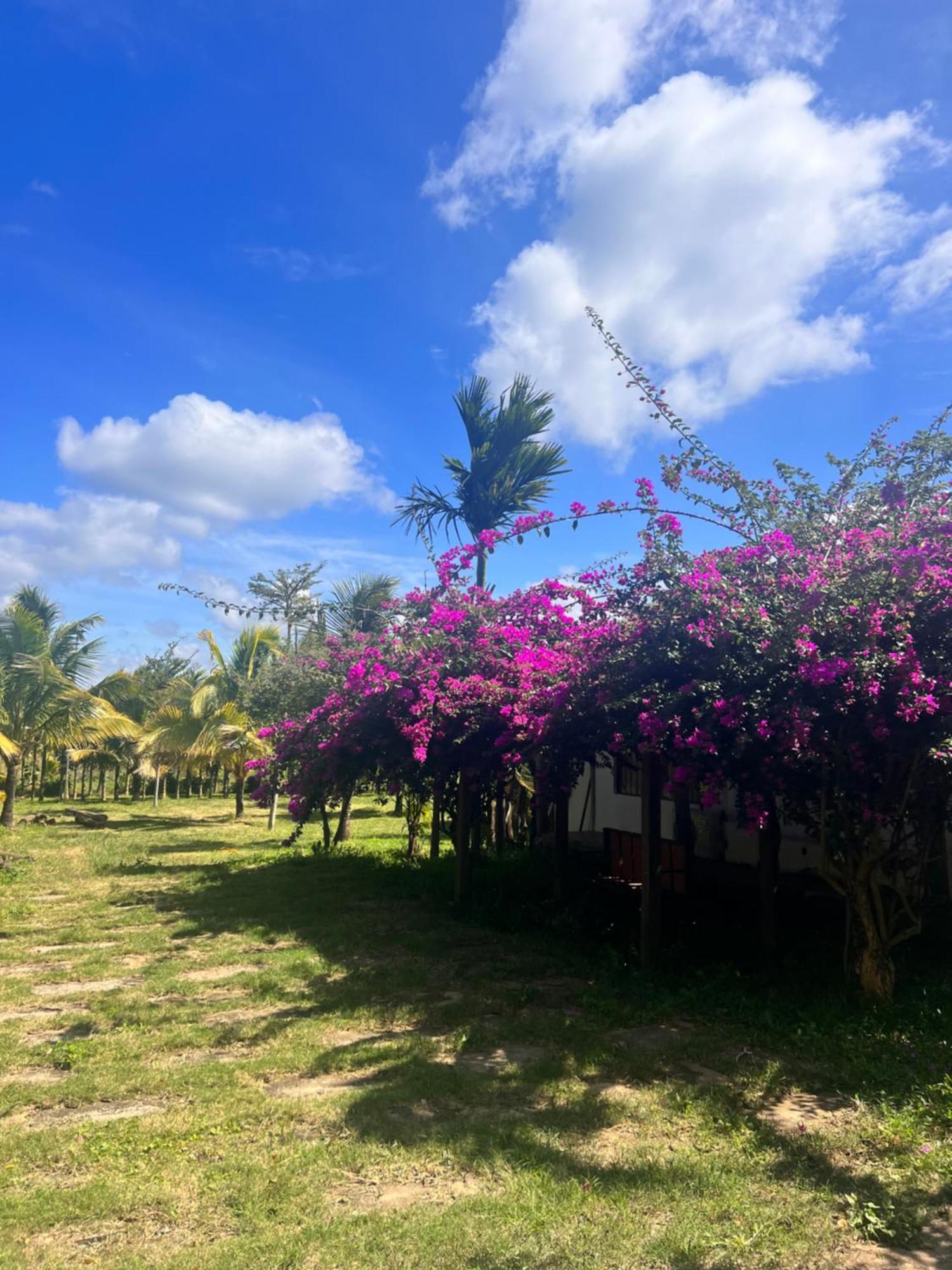 Komleo Farm Hotel Buon Ma Thuot Eksteriør billede