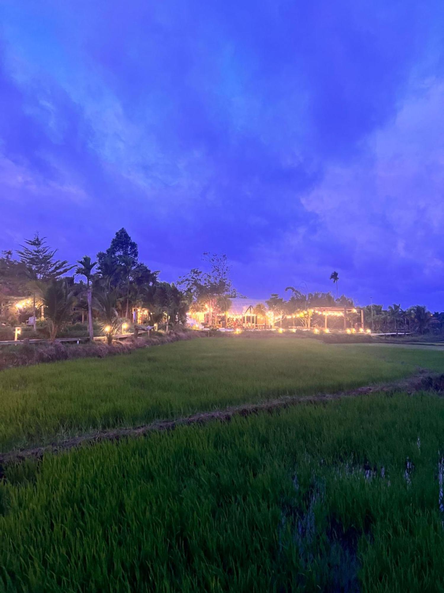 Komleo Farm Hotel Buon Ma Thuot Eksteriør billede
